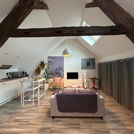 Apartamento L'Ours De Colmar Bis Exterior foto