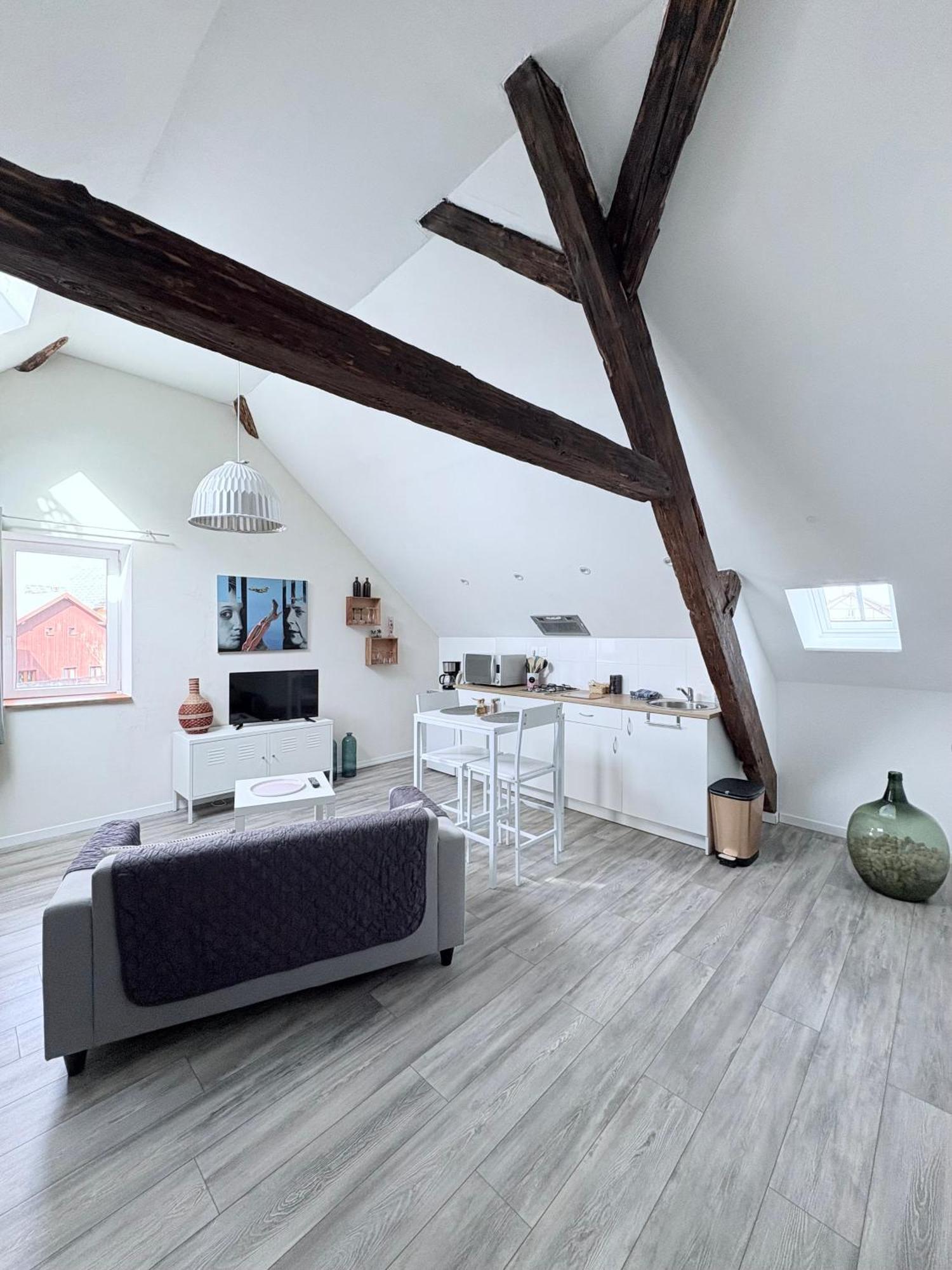 Appartamento L'ours De Bis Colmar